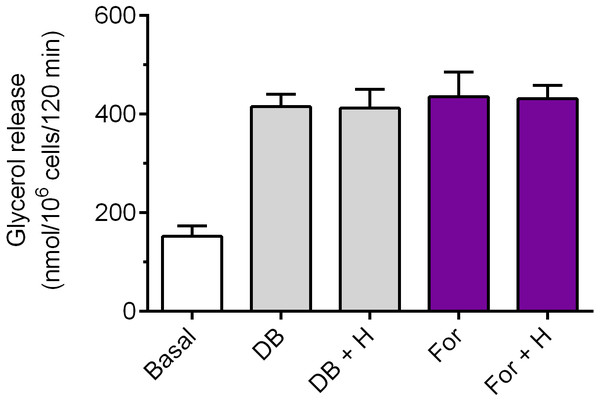 Effects of hemin on lipolysis induced by dibutyryl-cAMP or forskolin in the isolated rat adipocytes.