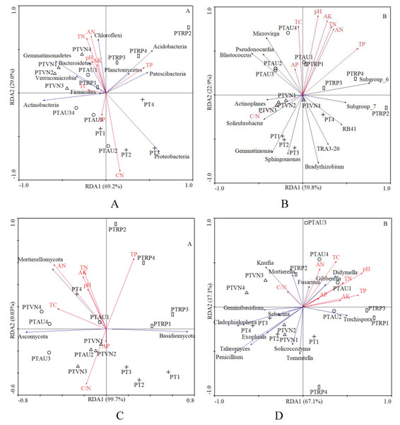 The RDA of soil characteristics on soil bacterial community at the phylum (A) and genus (B) level, and fungal community at the phylum (C) and genus (D) level.