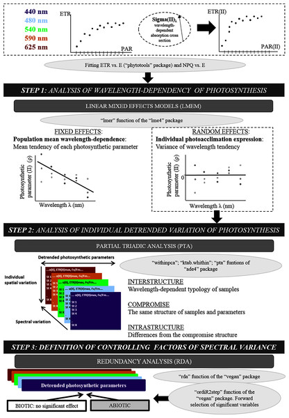 Original methodological approach diagram.