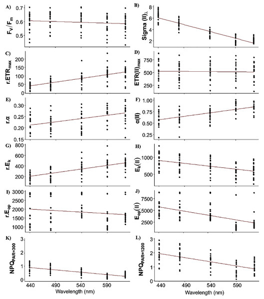 Raw data of each photosynthetic parameters.