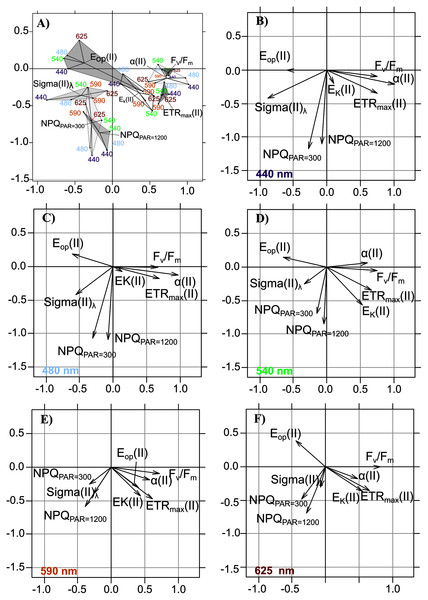 Intrastructure results of detrended photosynthetic parameters of Partial Triadic Analysis.