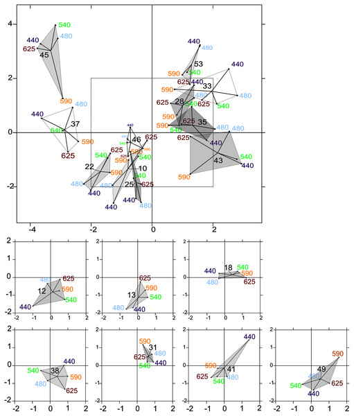 Intrastructure results of partial triadic analysis (PTA) for each location.