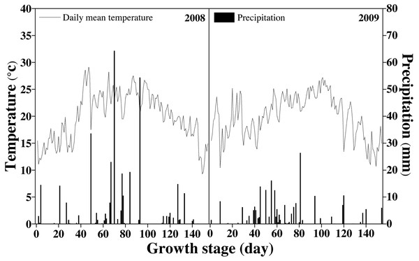 Temperature and precipitation during the rice-growing stage.