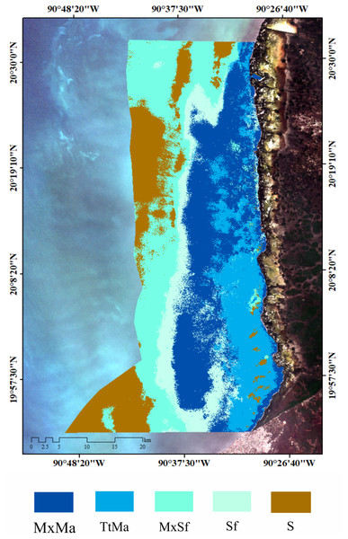 Carbon stocks (biomass + sediments (top 1 m)) of seagrass classes in LPBR.