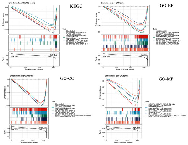 Enrichment plots from gene set enrichment analysis (GSEA).