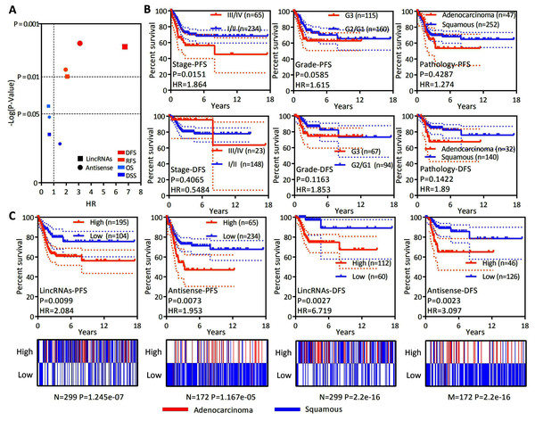 LncRNAs specifically expressed in EAC might serve as independent factors predicting the recurrence prognosis.