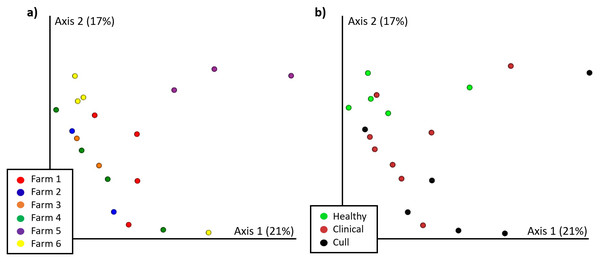 Nasal microbial communities (Bray Curtis) by (A) farm and (B) health status.