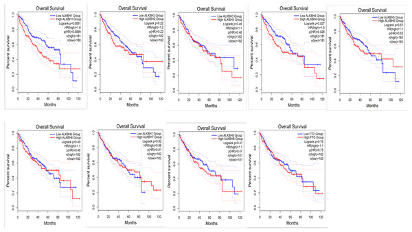 The effect of AlkB family on overall survival of HCC patients.