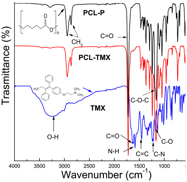 FTIR spectra of TMX, PCL-P, and PCL-TMX electrospun nanofibers.