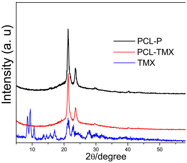 XRD patterns of (A) TMX, (B) PCL-P, (C) PCL-TMX.