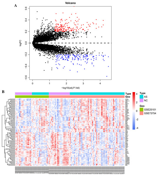 Visualization of differentially expressed genes (DEGs).