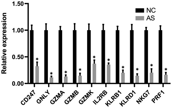 RT-PCR validation of the hub gene between AS and normal controls.