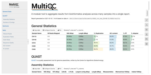 MultiQC report of five SARS-CoV-2 datasets analyzed using VGEA.