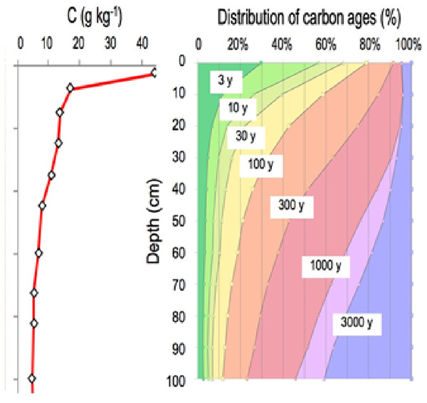 The vertical distribution of organic carbon in this soil (left panel). A current distribution of carbon ages (right panel, based on data from Balesdent et al. (2018).