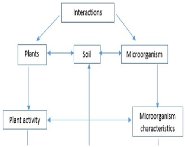 Linkage between environmental factors, plants and soil and regulations of soil microbial processes.
