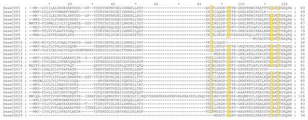 Amino acid sequence alignment of chemosensory proteins (CSPs) with intact open reading frames in Spodoptera exempta.