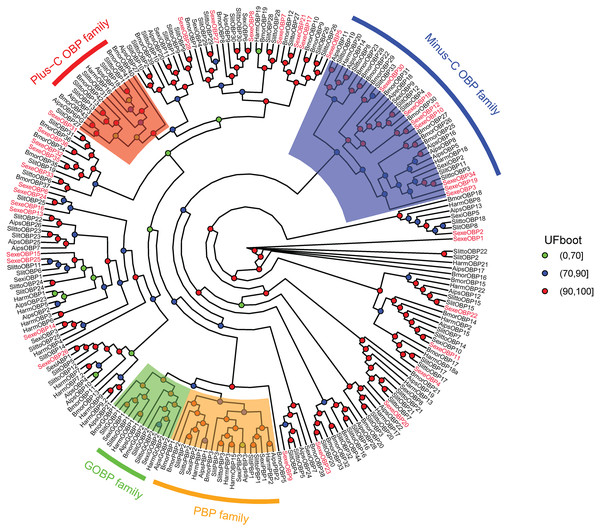 Maximum likelihood tree of lepidopteran odorant-binding proteins (OBPs).