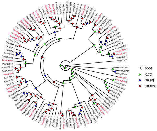 Maximum likelihood tree of lepidopteran chemosensory proteins (CSPs).