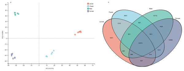 The gene expression patterns among the developmental stages in Spodoptera exempta.