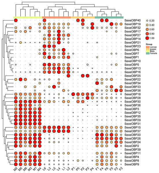 Expression patterns of odorant-binding proteins (OBPs) among different developmental stages in Spodoptera exempta based on the transcripts per million tags (TPM) values.