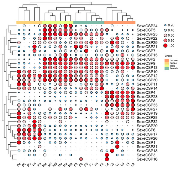 Expression patterns of chemosensory proteins (CSPs) among the different developmental stages in Spodoptera exempta based on the transcripts per million tags (TPM) values.