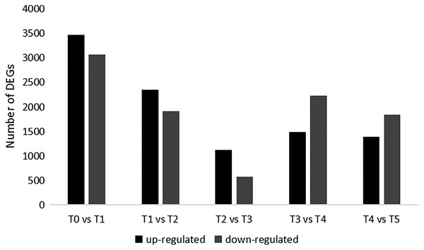 The total number of up-regulated and down-regulated genes.