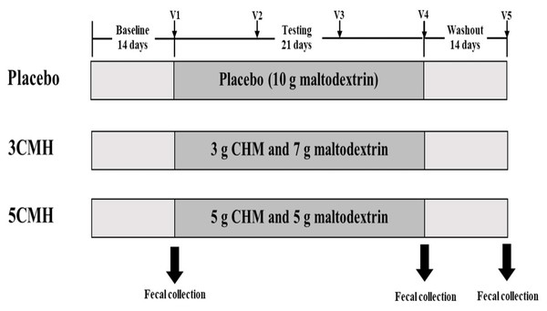 Timeline of copra meal hydrolysate (CMH) studied, including sample groups and fecal collection.
