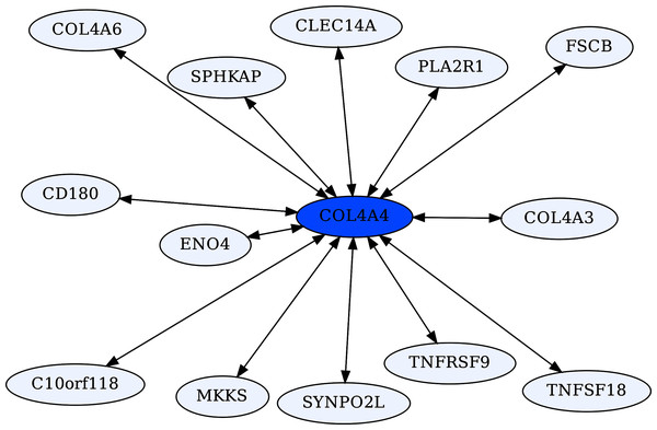 COL4A4-centric RR20 network.
