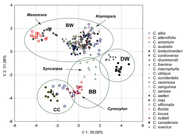 A scatterplot of two PCA components (V1, V2) for nine quantitative characters of the endocarps based on the mean values of 254 examined Cornus specimens.