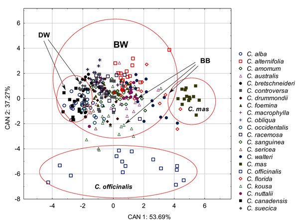 A scatterplot of the first two discriminant functions (CAN1, CAN2) for 22 Cornus species based on the characters of the internal structure of 317 endocarps.