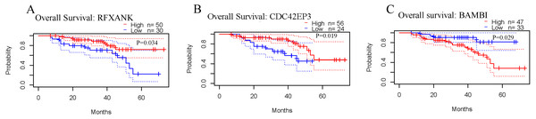 Prognostic values of RFXANK, CDC42EP3 and BAMBI in ovarian cancer.