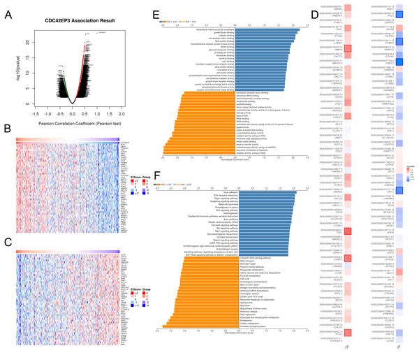 The co-expression genes with CDC42EP3 in ovarian cancer by the LinkedOmics database.
