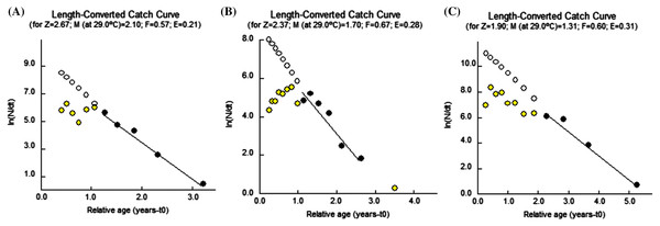 Length converted catch curves of three polynemids: (A) Filimanus xanthonema (B) Polynemus melanochir and (C) Polynemus paradiseus.