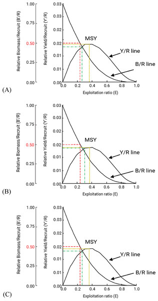 Relative Yield per recruit and biomass per recruit of three polynemids: (A) Filimanus xanthonema (B) Polynemus melanochir and (C) Polynemus paradiseus.