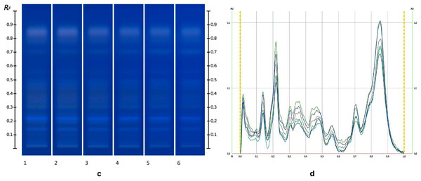 Images taken at R 366 after derivatisation with vanillin reagent (C) and their respective chromatograms (D).