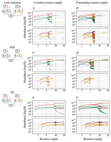All phage strategies promote bacterial coexistence over different resource supply ranges.