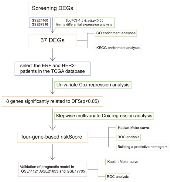 The workflow of the identification of breast cancer resistance-related four gene signatures.