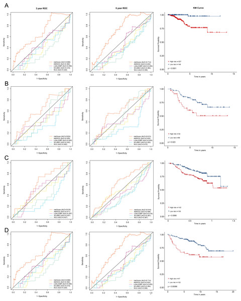 Kaplan–Meier survival curves of DFS between high-risk and low-risk patients and ROC curves in (A) TCGA-BRCA, (B) GSE21653, (C) GSE17705 and (D) GSE11121.