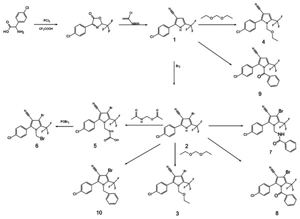 The synthetic route of arylpyrrole.