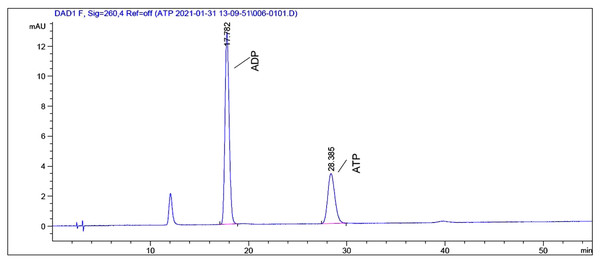 HPLC chromatogram of a standard mixture of ATP and ADP.