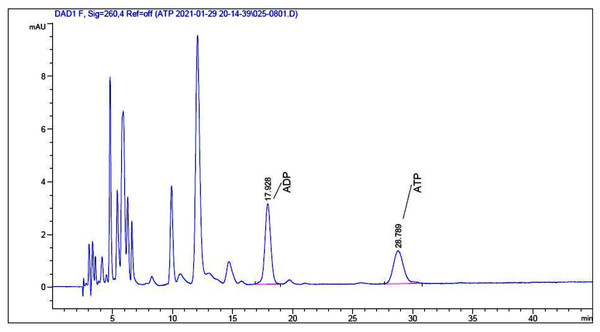 HPLC chromatogram of ATP and ADP extracted from O. hupensis snail soft tissue.