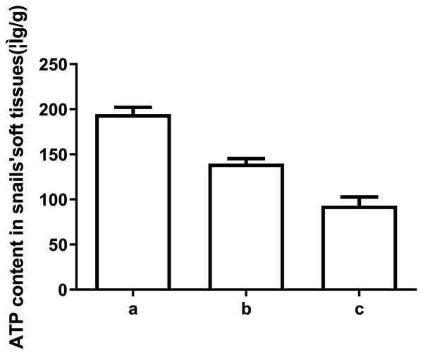 ATP levels in snail soft tissues after exposure to LC50 and 1/2 LC50 of compound 6.