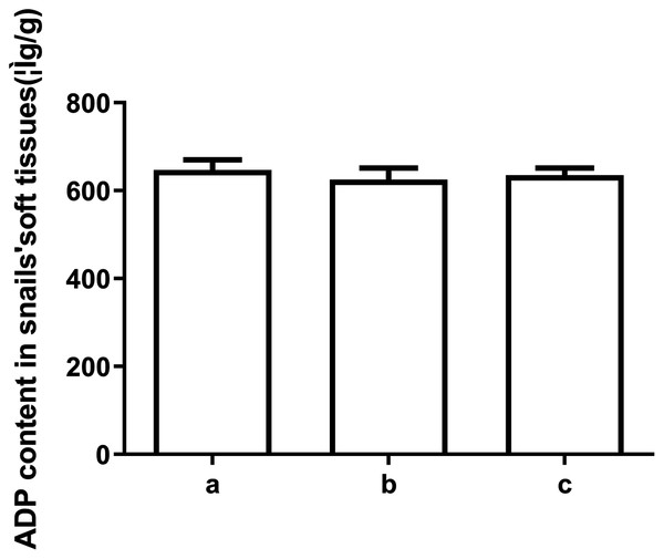 The ADP levels in snail soft tissues after exposure to LC50 and 1/2 LC50 of compound 6.