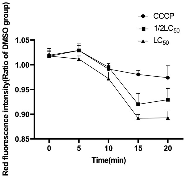 Effects of C6 on mitochondrial membrane potential of O. hupensis snails.