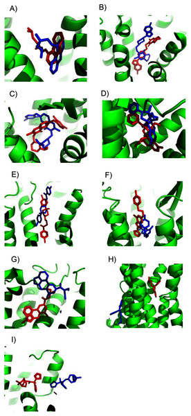 Predicted and experimental ligand binding sites for homology models of eight GPCRs.