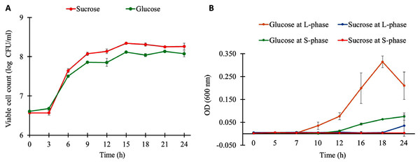 Growth physiology of L. reuteri KUB-AC5 under different carbon sources and growth phases.