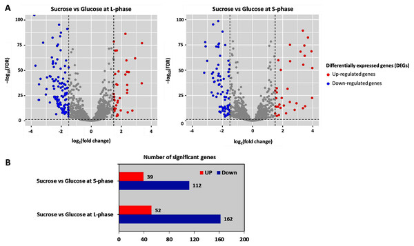 Differentially expressed genes analysis across pairwise carbon source comparisons.