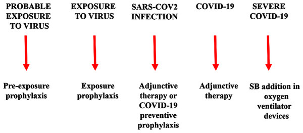 Warm sodium bicarbonate (SB) inhalation therapy steps that may help to contrast SARS-COV-2 infection and COVID-19 progression.
