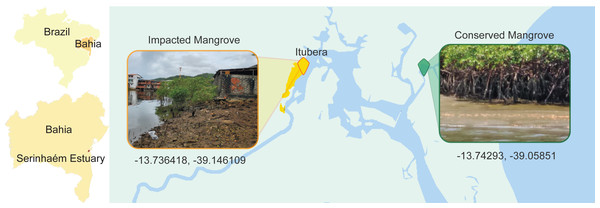 Location map of the collection sites of the pristine and impacted mangrove areas.