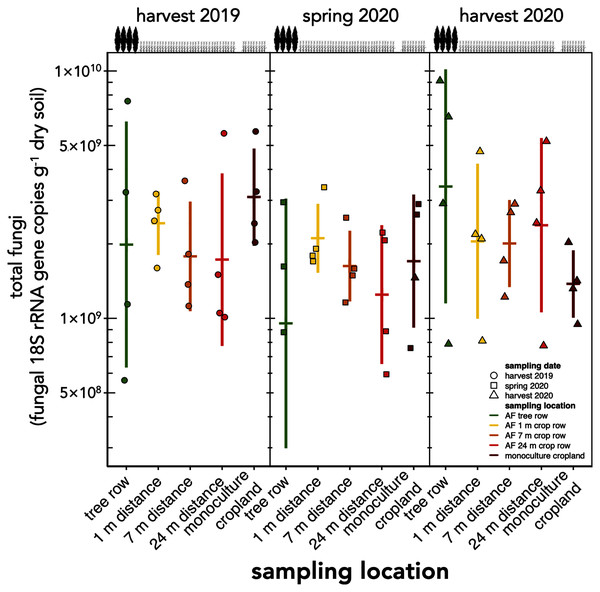 Absolute abundance of soil fungi in a paired temperate agroforestry and monoculture cropland system.